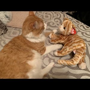 Meet your Posher, Debbie